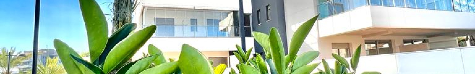 Apartment in Costa Blanca South, Los Dolses