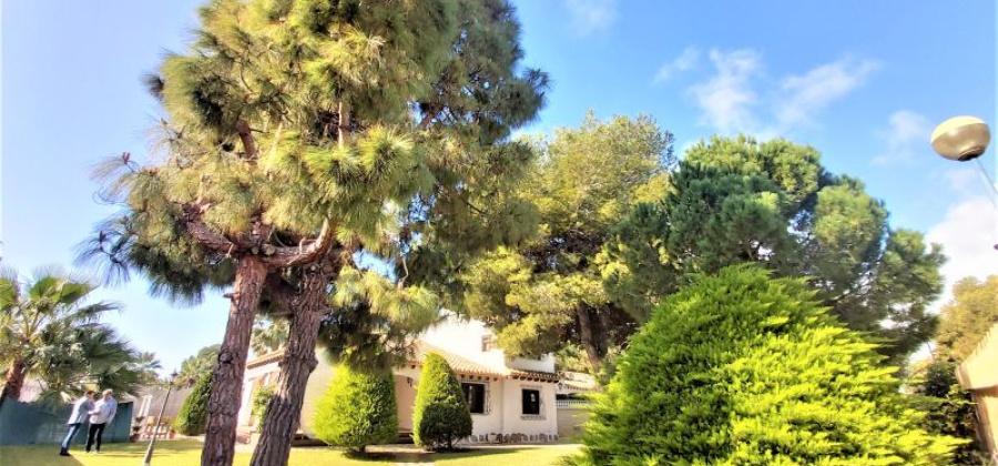 Torrevieja, Alicante, 4 Bedrooms Bedrooms, ,3 BathroomsBathrooms,Villa,Resale,149512507466971616