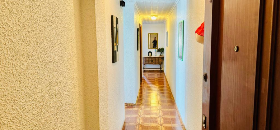 Torrevieja, Alicante, 2 Bedrooms Bedrooms, ,1 BathroomBathrooms,Apartment,Resale,328216362156638784