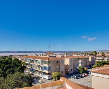 Torrevieja, Alicante, 1 Bedroom Bedrooms, ,1 BathroomBathrooms,Apartment,Resale,75632556082102896
