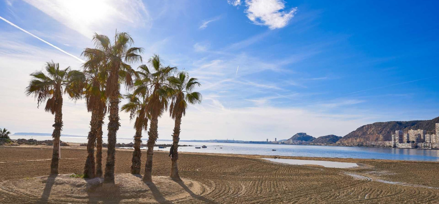 Els Poblets, Alicante, 3 Bedrooms Bedrooms, ,2 BathroomsBathrooms,Villa,New,209559240906357568