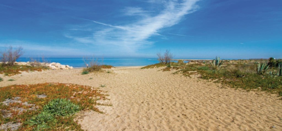 Denia, Alicante, ,Villa,Resale,75632221483795888