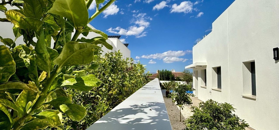 Benijofar, Alicante, 3 Bedrooms Bedrooms, ,2 BathroomsBathrooms,Villa,New,209559232286894272