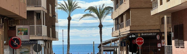 Apartment in Costa Blanca South, Torrevieja