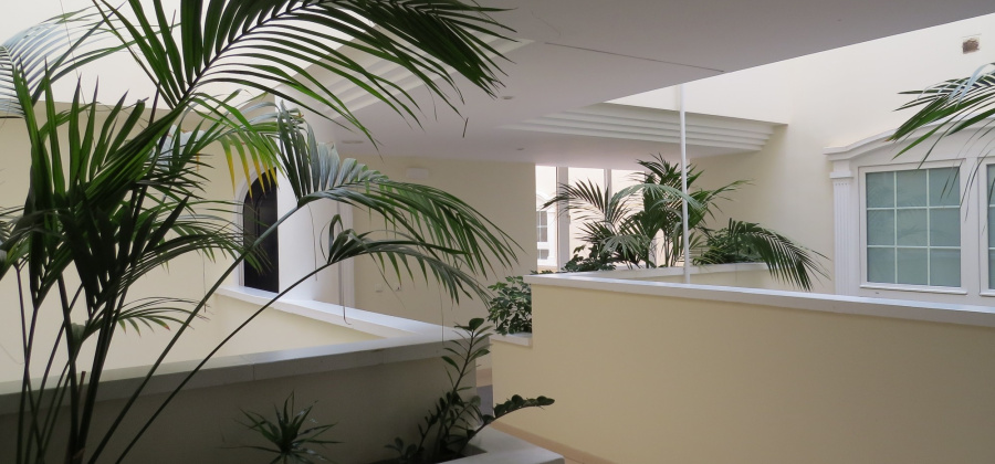 Guardamar del Segura, Alicante, 2 Bedrooms Bedrooms, ,1 BathroomBathrooms,Apartment,Resale,9996892395251284