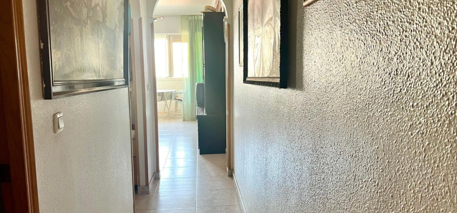 Torrevieja, Alicante, 1 Bedroom Bedrooms, ,1 BathroomBathrooms,Apartment,Resale,7563274378812276