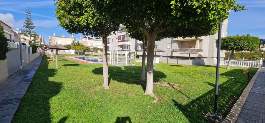 Torrevieja, Alicante, 3 Bedrooms Bedrooms, ,1 BathroomBathrooms,Bungalow,Resale,75632211264095616
