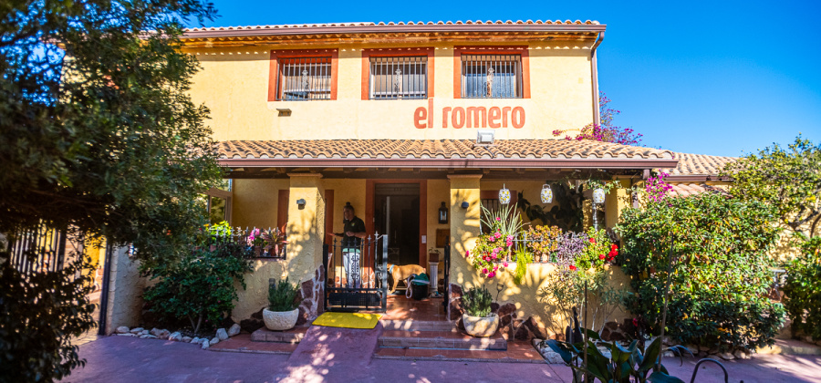 Hondon de las Nieves, ALICANTE / COSTA BLANCA, 6 Bedrooms Bedrooms, ,6 BathroomsBathrooms,Commercial Unit,Resale,103536276510573424