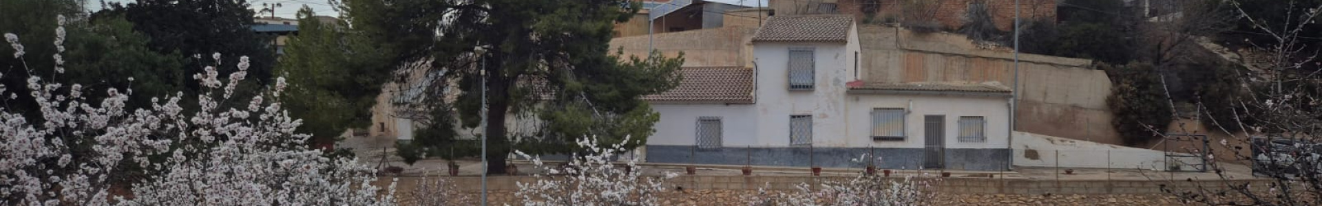 Aledo, Murcia, 6 Bedrooms Bedrooms, ,2 BathroomsBathrooms,Country House or Finca,Resale,944292