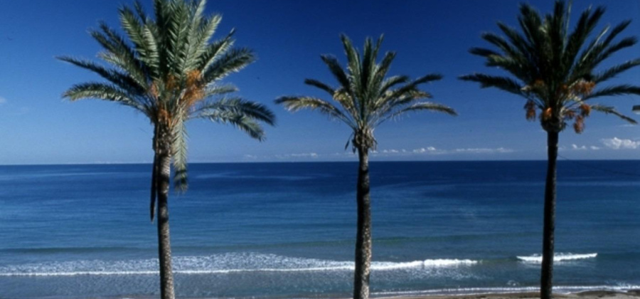 Pilar de la Horadada, Alicante, 2 Bedrooms Bedrooms, ,2 BathroomsBathrooms,Bungalow,New,209559356586641824