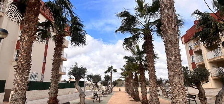 Orihuela Costa, Alicante, 1 Bedroom Bedrooms, ,1 BathroomBathrooms,Apartment,New,20955973844300356