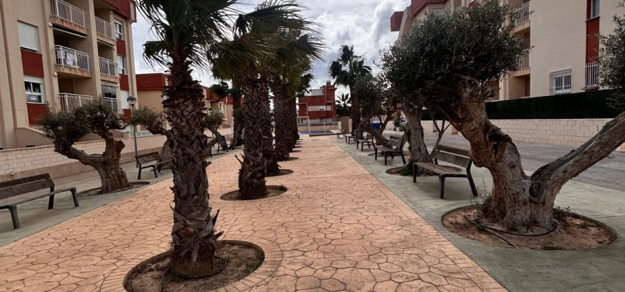 Orihuela Costa, Alicante, 1 Bedroom Bedrooms, ,1 BathroomBathrooms,Apartment,New,20955973844300356