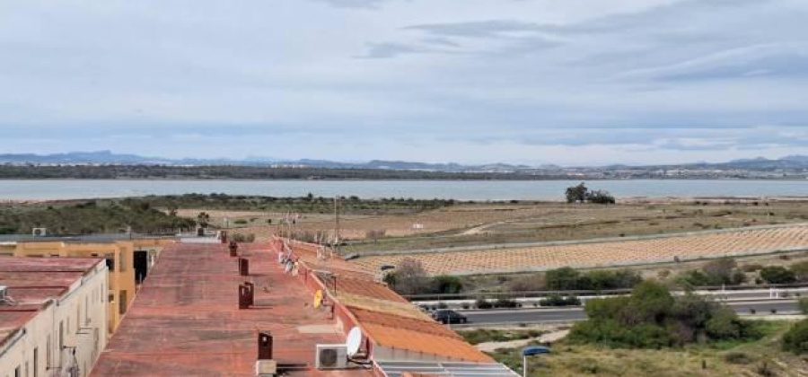 Torrevieja, Alicante, 1 Bedroom Bedrooms, ,1 BathroomBathrooms,Apartment,Resale,75632169436284624