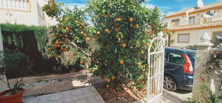 Playa Flamenca, Alicante, 3 Bedrooms Bedrooms, ,2 BathroomsBathrooms,Villa,Resale,90690281659409856