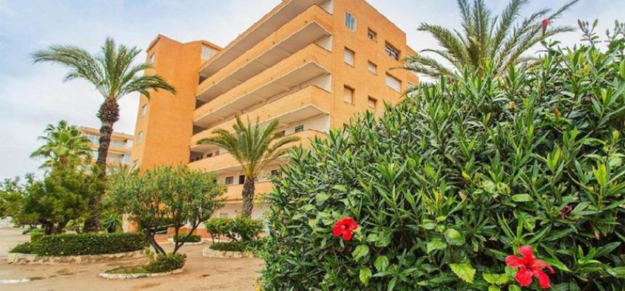 Guardamar del Segura, Alicante, 1 Bedroom Bedrooms, ,1 BathroomBathrooms,Apartment,Resale,75632245997199952