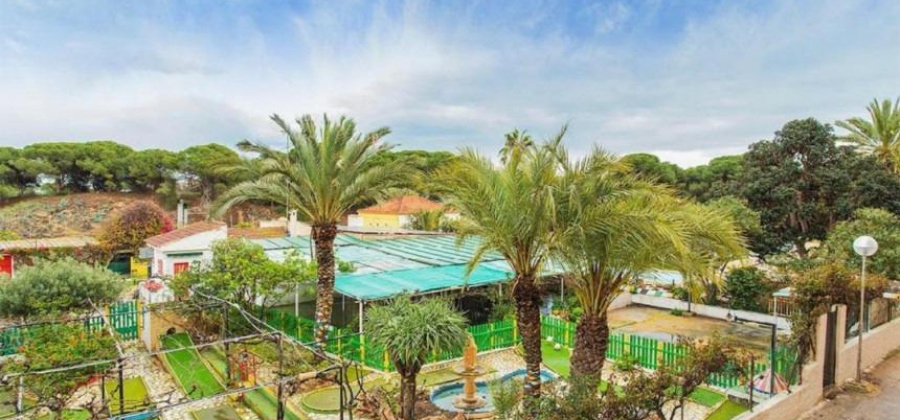 Guardamar del Segura, Alicante, 1 Bedroom Bedrooms, ,1 BathroomBathrooms,Apartment,Resale,75632245997199952