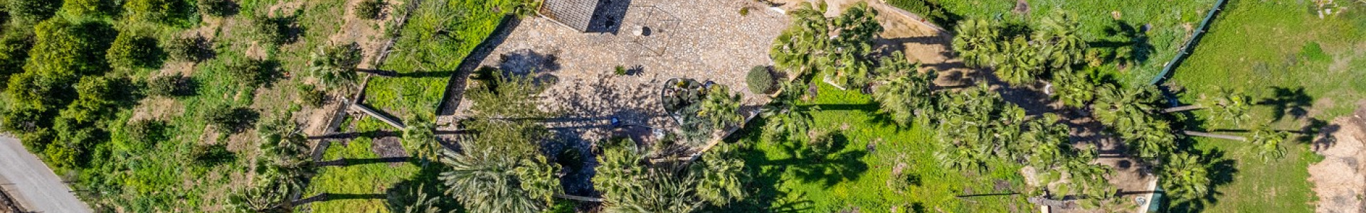 Villa in Costa Blanca South, Jacarilla