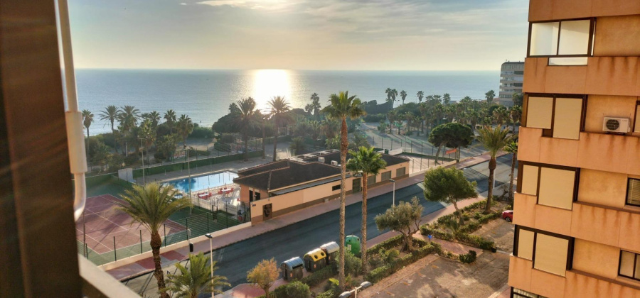 Torrevieja, Alicante, 1 Bedroom Bedrooms, ,1 BathroomBathrooms,Apartment,Resale,75632147997239744