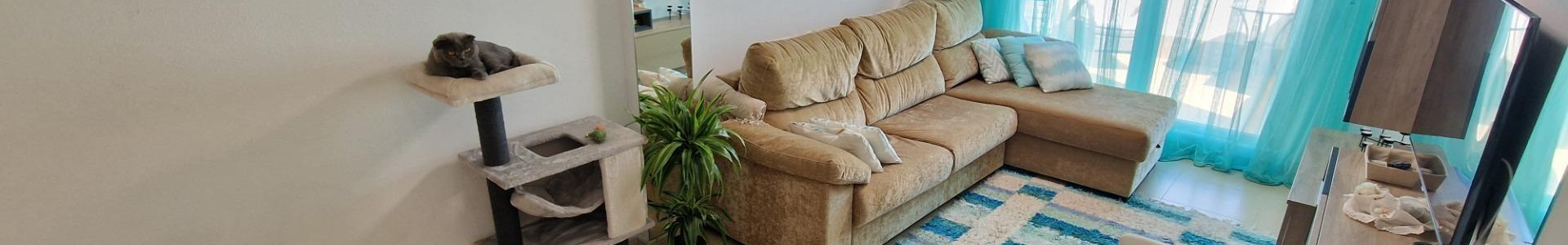 Apartment in Costa Blanca South, Torrevieja