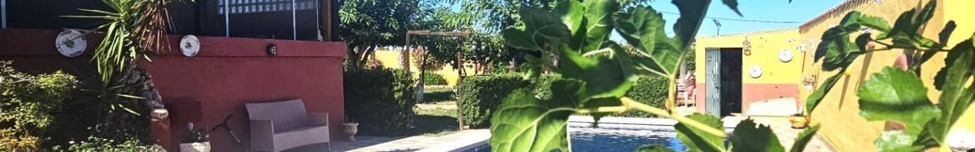 Dolores, Alicante, 5 Bedrooms Bedrooms, ,6 BathroomsBathrooms,Villa,Resale,7563269599647840