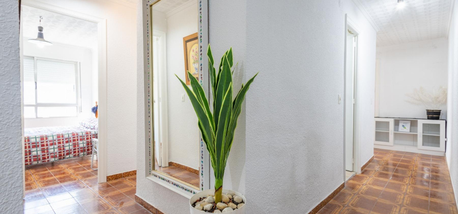 Torrevieja, Alicante, 2 Bedrooms Bedrooms, ,1 BathroomBathrooms,Apartment,Resale,7563287595193782