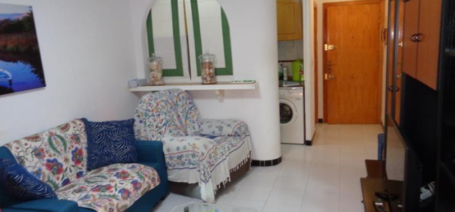 Torrevieja, Alicante, ,1 BathroomBathrooms,Apartment,Resale,75632163563615376