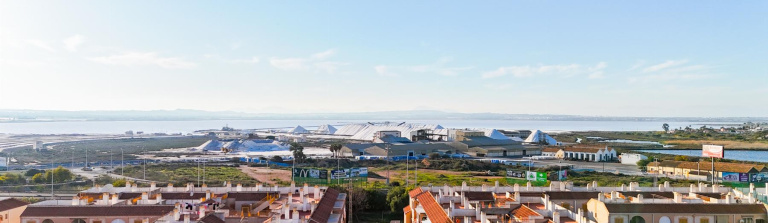 Apartment in Costa Blanca South, Torrevieja