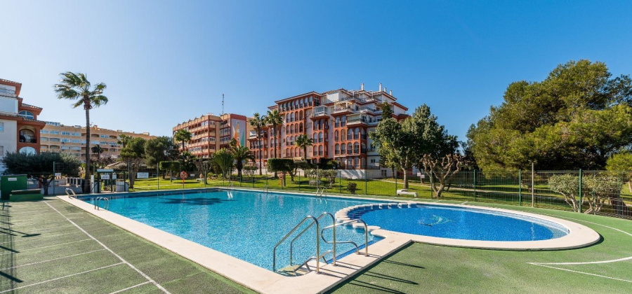 Torrevieja, Alicante, 1 Bedroom Bedrooms, ,1 BathroomBathrooms,Apartment,Resale,75632156823090880