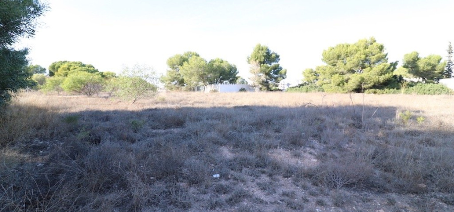 Orihuela Costa, Alicante, ,Plot Of Land,Resale,209924220471527616
