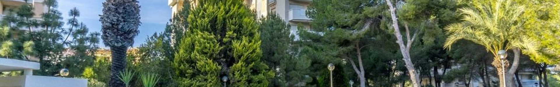 Apartment in Costa Blanca South, Orihuela Costa