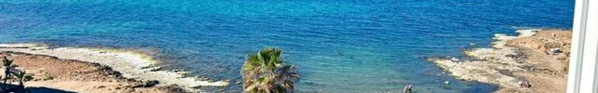 Apartment in Costa Blanca South, Torrevieja