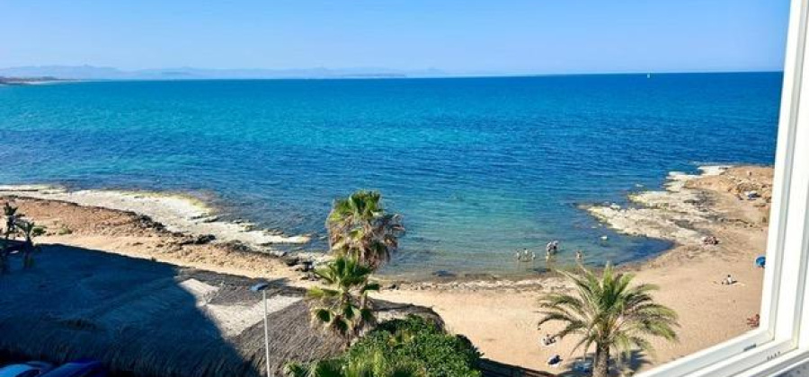 Torrevieja, Alicante, 1 Bedroom Bedrooms, ,1 BathroomBathrooms,Apartment,Resale,6594578473299625
