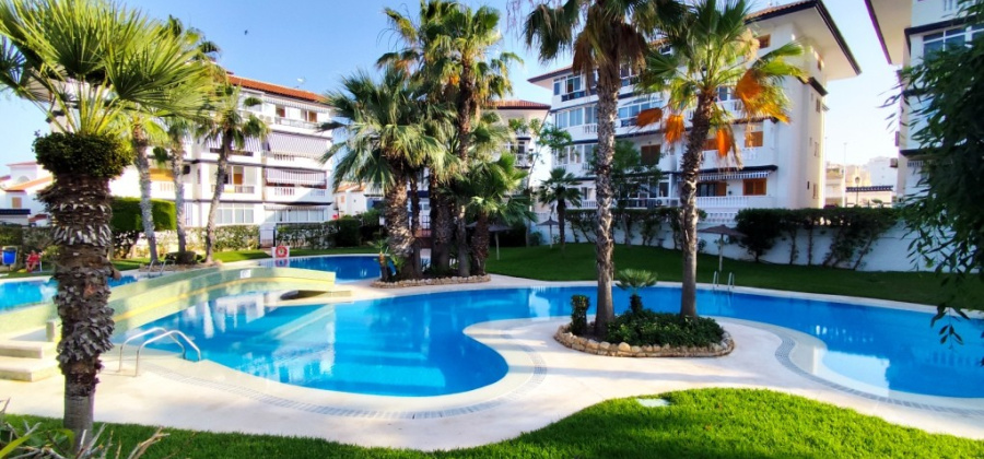 La Mata, Alicante, 1 Bedroom Bedrooms, ,1 BathroomBathrooms,Apartment,Resale,202005101305203104