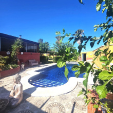 Dolores, Alicante, 5 Bedrooms Bedrooms, ,6 BathroomsBathrooms,Villa,Resale,0,7563269599647840