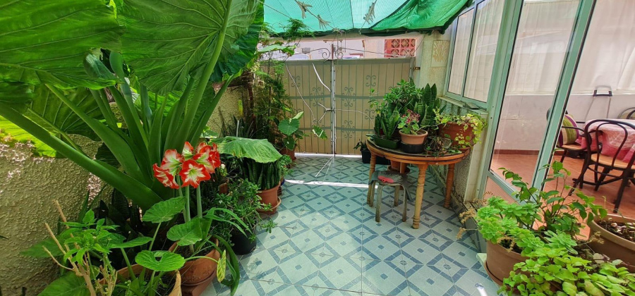 Torrevieja, Alicante, 2 Bedrooms Bedrooms, ,1 BathroomBathrooms,Townhouse,Resale,0,7563274896099654