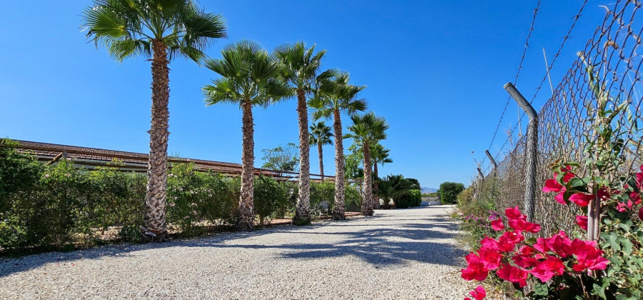 Crevillent, Alicante, 6 Bedrooms Bedrooms, ,5 BathroomsBathrooms,Country House or Finca,Resale,0,7563287514270552