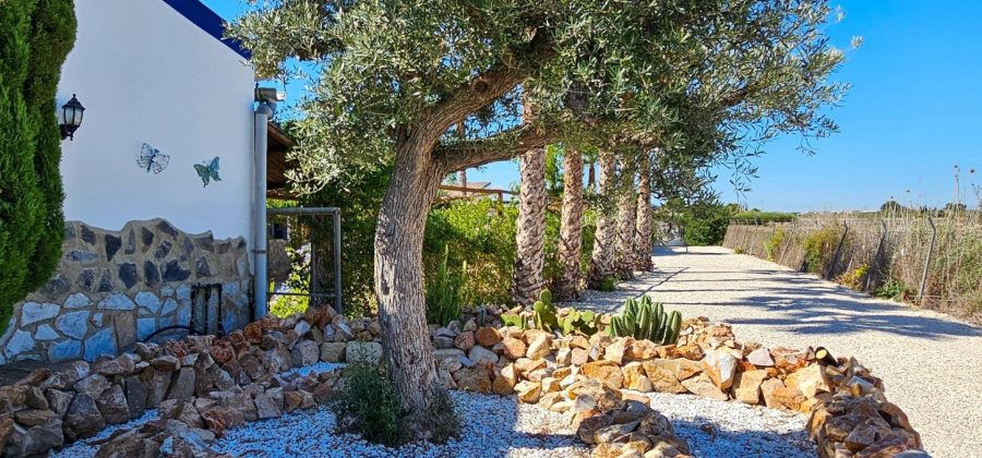 Crevillent, Alicante, 6 Bedrooms Bedrooms, ,5 BathroomsBathrooms,Country House or Finca,Resale,0,7563287514270552