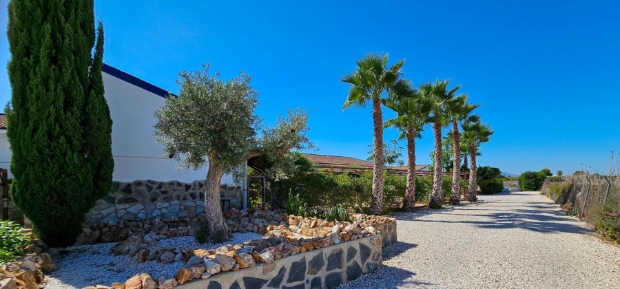 Crevillent, Alicante, 6 Bedrooms Bedrooms, ,5 BathroomsBathrooms,Country House or Finca,Resale,0,7563287514270552