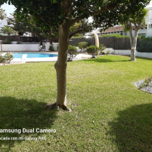 Villa in Costa Blanca South, Orihuela Costa