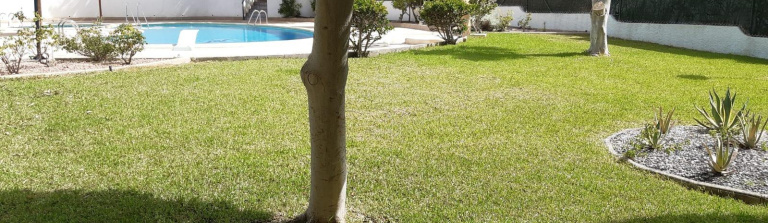 Villa in Costa Blanca South, Orihuela Costa