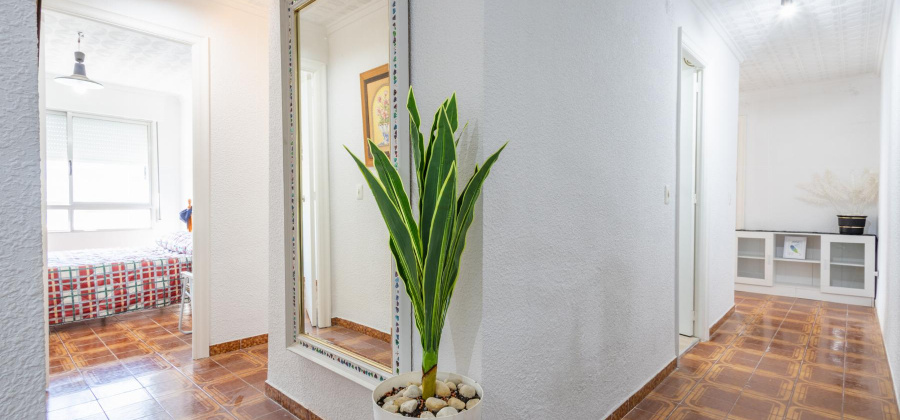 Torrevieja, Alicante, 2 Bedrooms Bedrooms, ,1 BathroomBathrooms,Apartment,Resale,0,32821695923028808