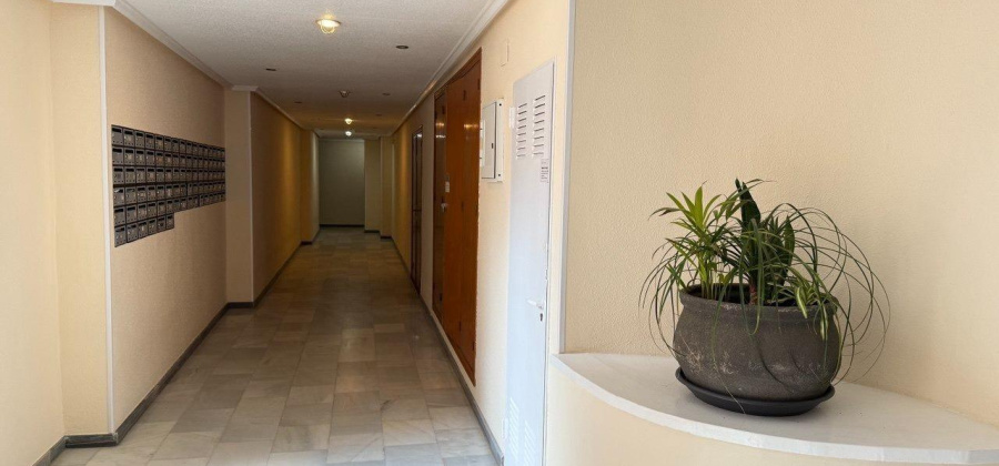 Torrevieja, Alicante, 2 Bedrooms Bedrooms, ,1 BathroomBathrooms,Apartment,Resale,0,75632100468222912