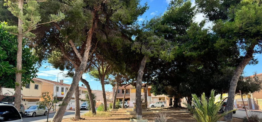 Torrevieja, Alicante, 2 Bedrooms Bedrooms, ,2 BathroomsBathrooms,Townhouse,Resale,0,75632104290478960