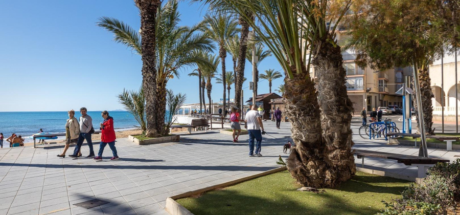 Torrevieja, Alicante, ,Others,Resale,0,75632104999110832
