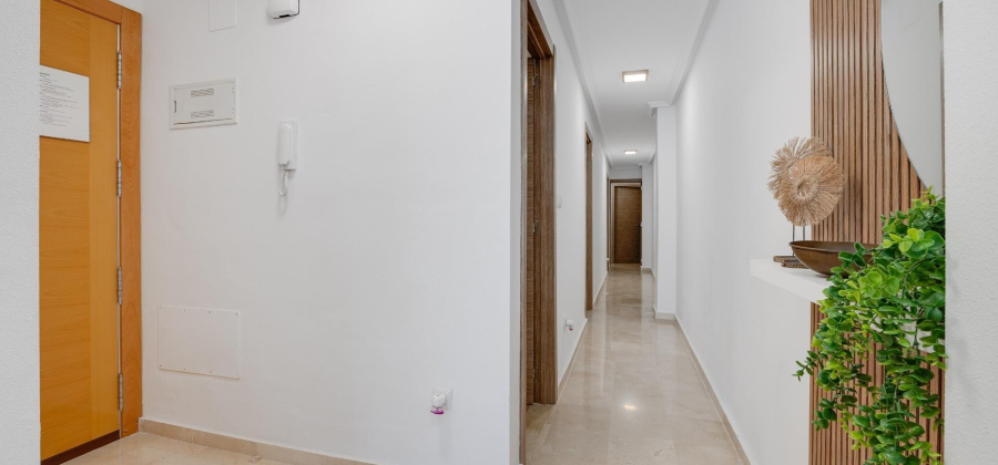 Torrevieja, Alicante, 3 Bedrooms Bedrooms, ,2 BathroomsBathrooms,Apartment,Resale,0,75632164657124464