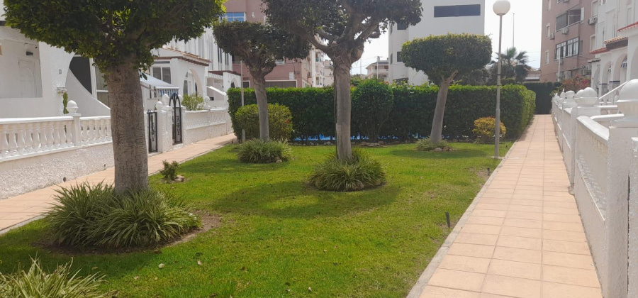Torrevieja, Alicante, 3 Bedrooms Bedrooms, ,2 BathroomsBathrooms,Bungalow,Resale,0,75632169189933664