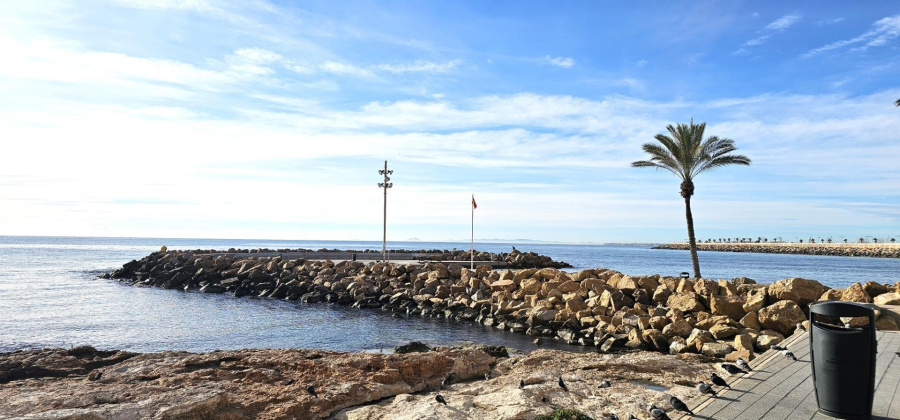 Torrevieja, Alicante, 1 Bedroom Bedrooms, ,1 BathroomBathrooms,Apartment,Resale,0,75632169978320528