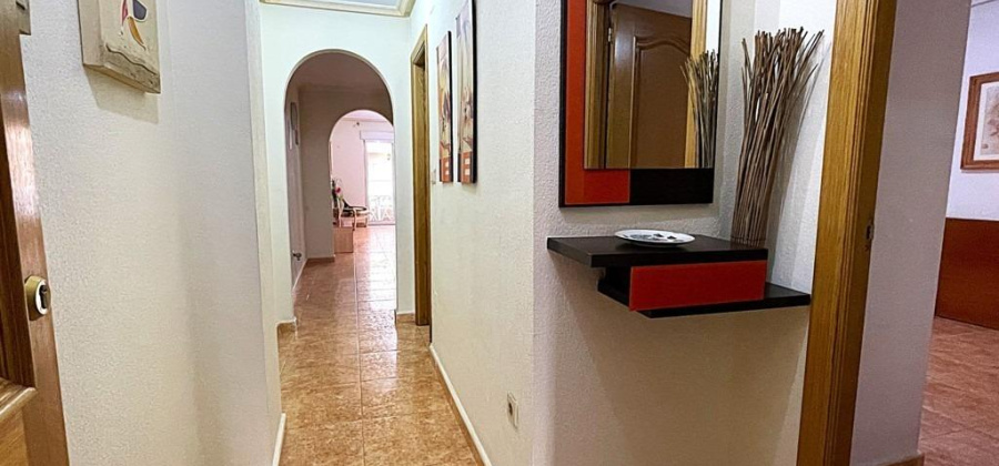 Torrevieja, Alicante, 1 Bedroom Bedrooms, ,1 BathroomBathrooms,Apartment,Resale,0,75632177055488128