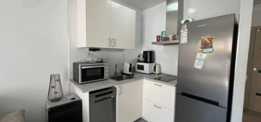 Torrevieja, Alicante, 1 Bedroom Bedrooms, ,1 BathroomBathrooms,Bungalow,Resale,0,75632208042769056
