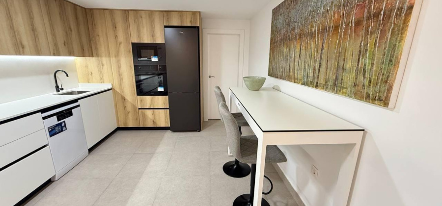 Guardamar del Segura, Alicante, 2 Bedrooms Bedrooms, ,1 BathroomBathrooms,Apartment,Resale,0,75632236313424848
